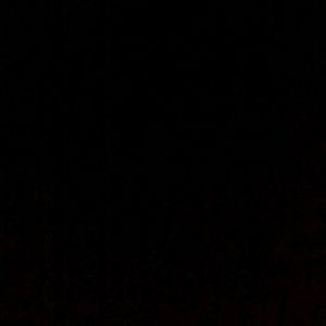 Meet your Posher, Noemi